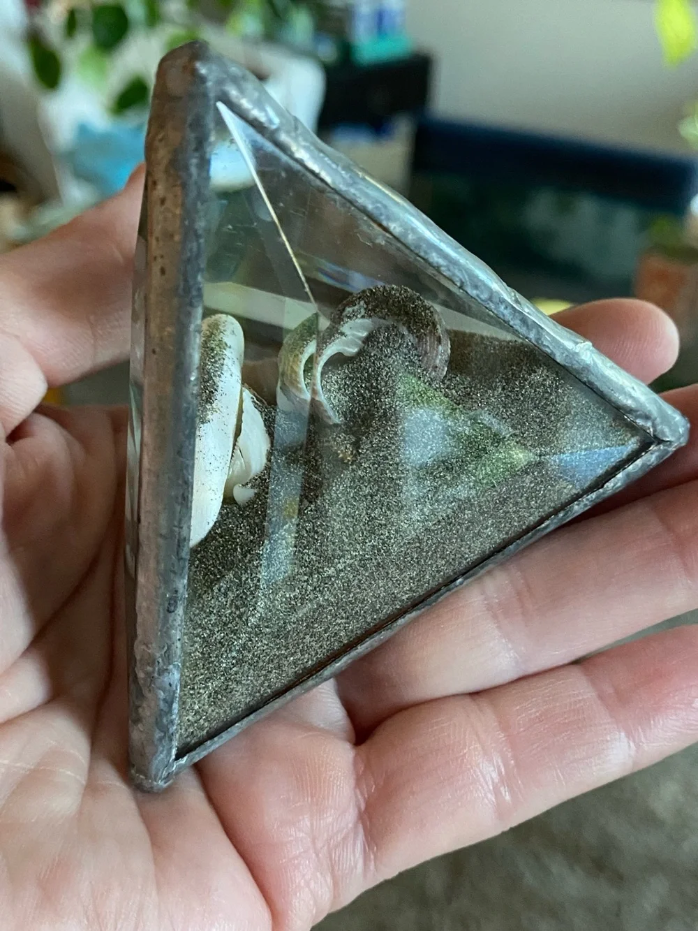 VTG Beveled Glass Pyramid Paperweight Shell Sand Dollar Sandscape 3”
